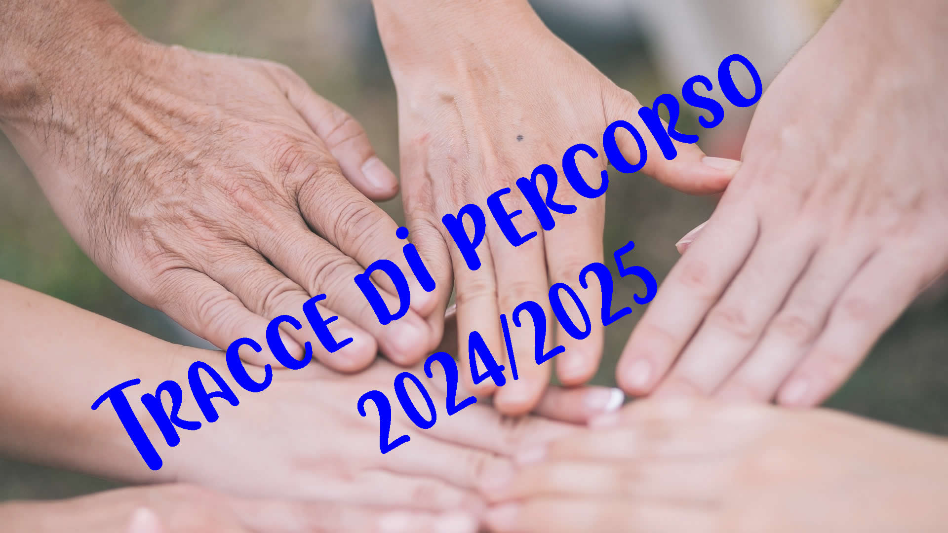 Programma 2024/2025